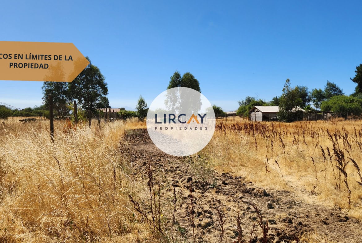 Terreno en Venta 7 ha. Talca.