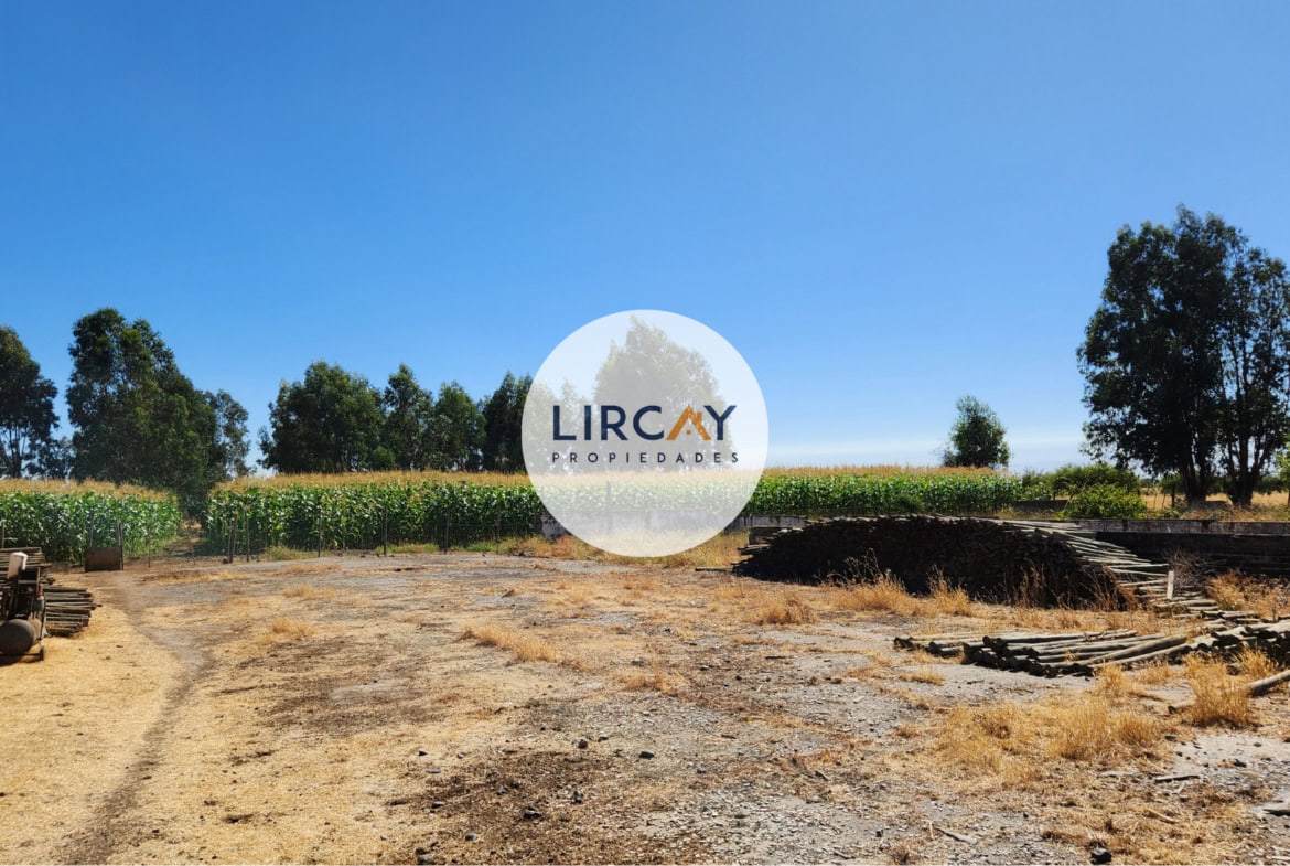 Terreno en Venta 7 ha. Talca.
