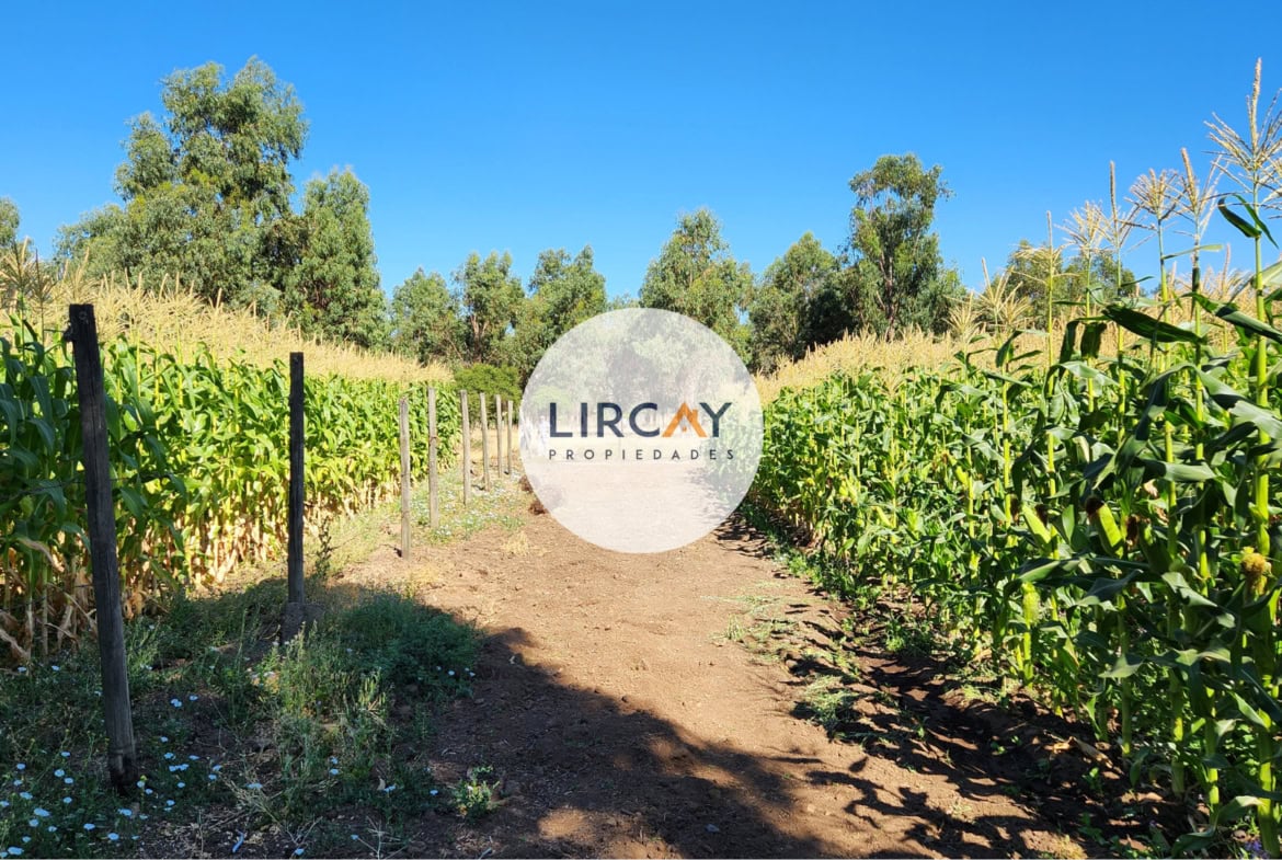 Terreno en Venta 7 ha. Talca.