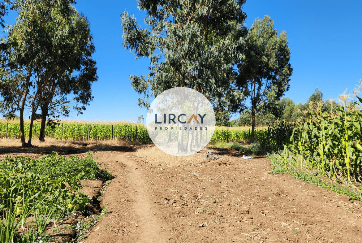 Terreno en Venta 7 ha. Talca.