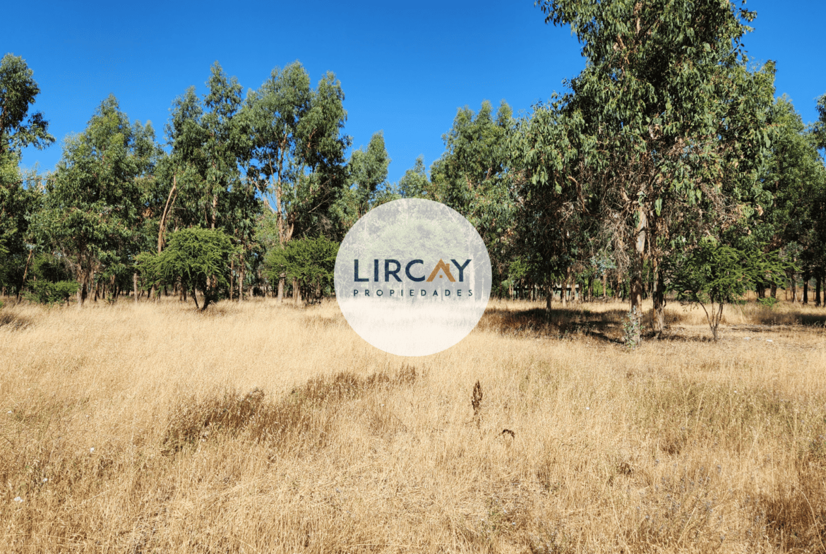 Terreno en Venta 7 ha. Talca.