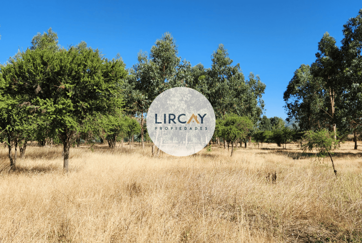 Terreno en Venta 7 ha. Talca.