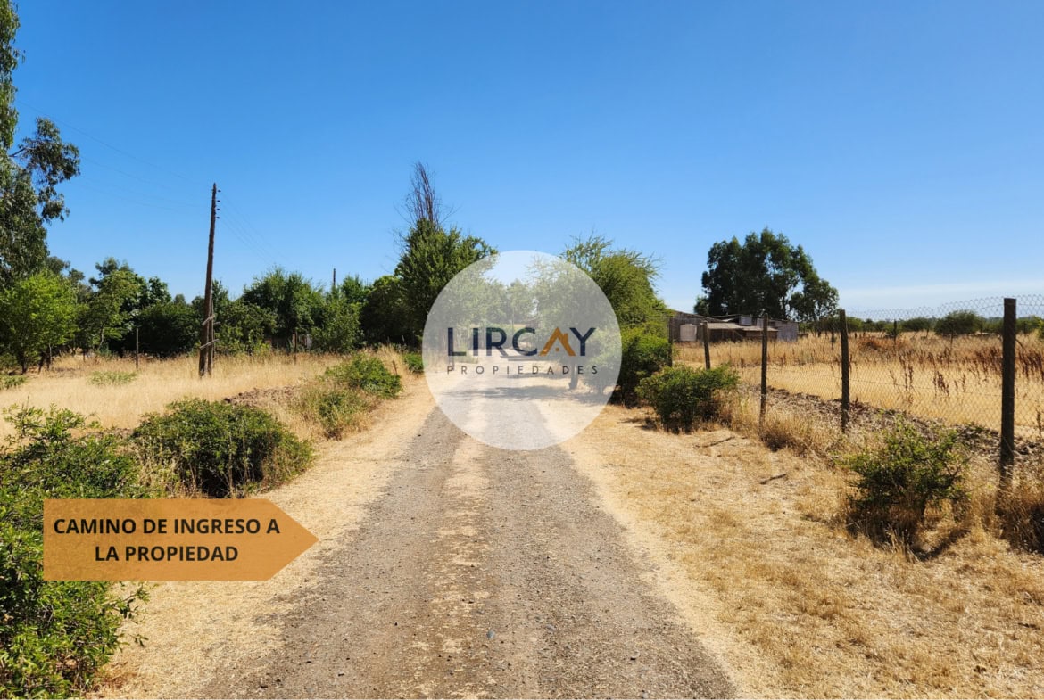 Terreno en Venta 7 ha. Talca.