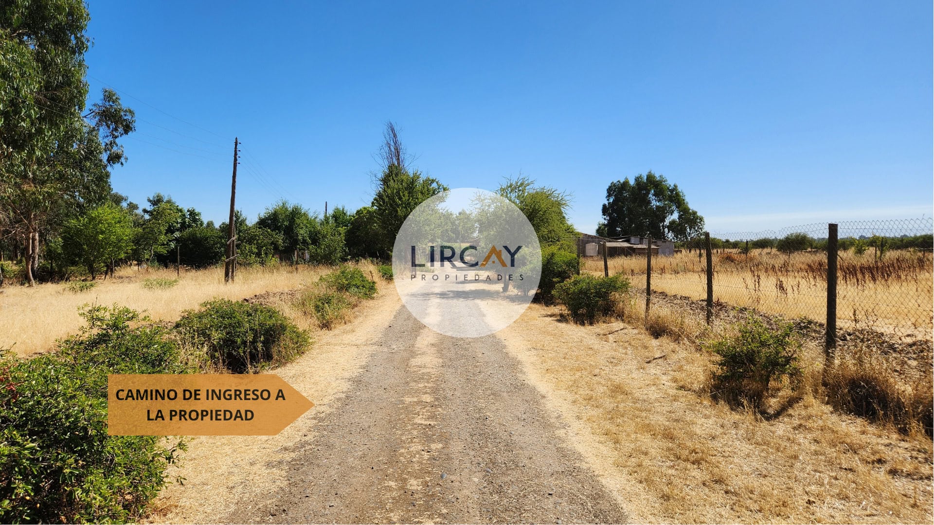 3 Terreno en Venta 7 ha. Talca.