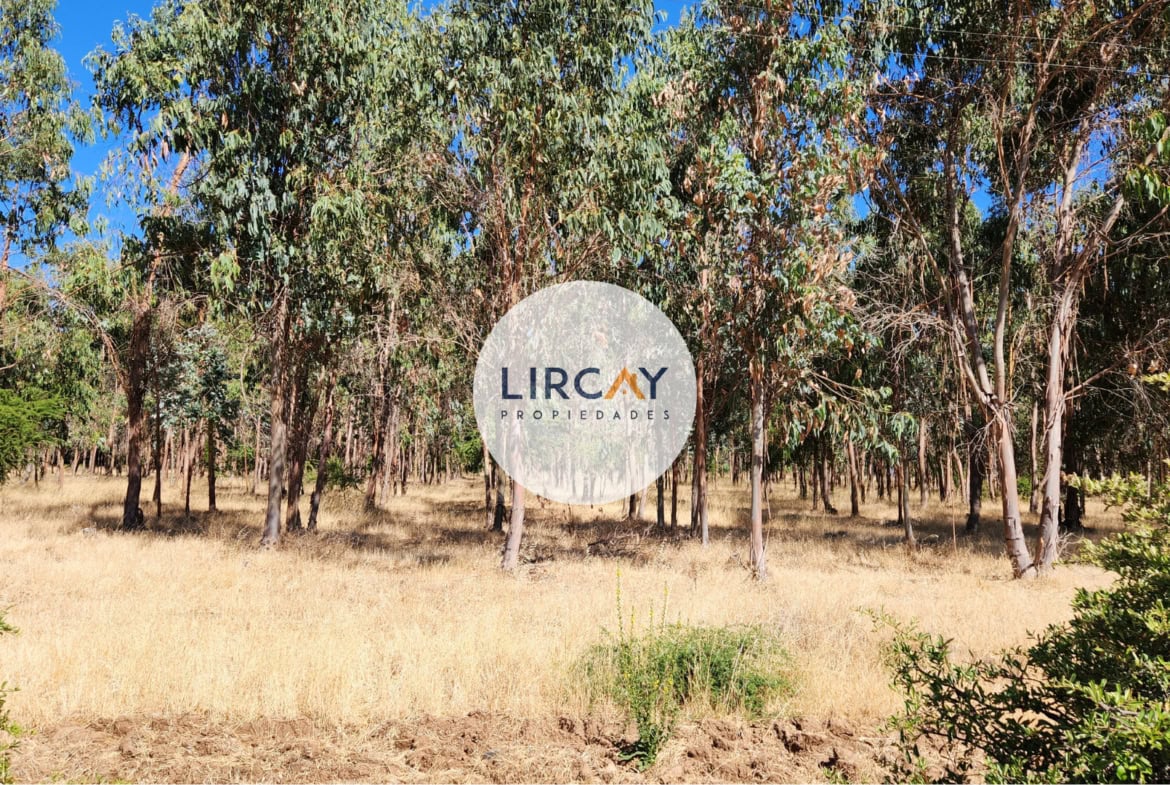 Terreno en Venta 7 ha. Talca.