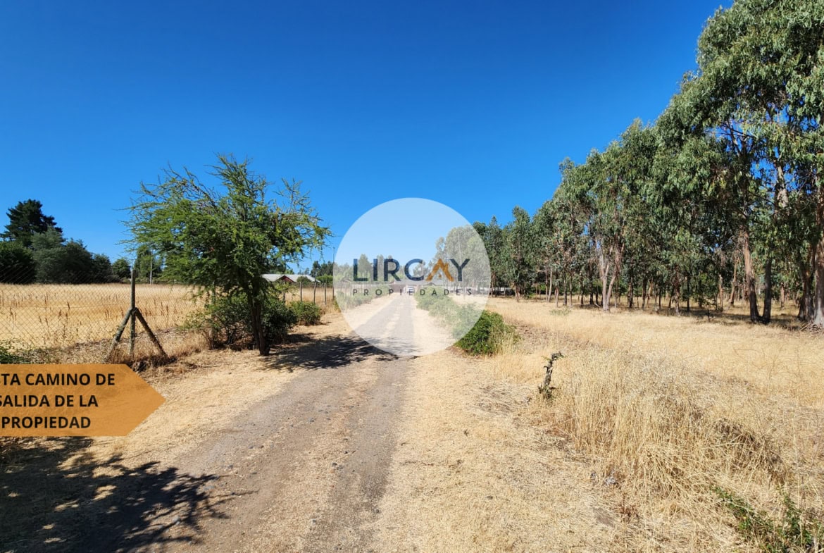 Terreno en Venta 7 ha. Talca.