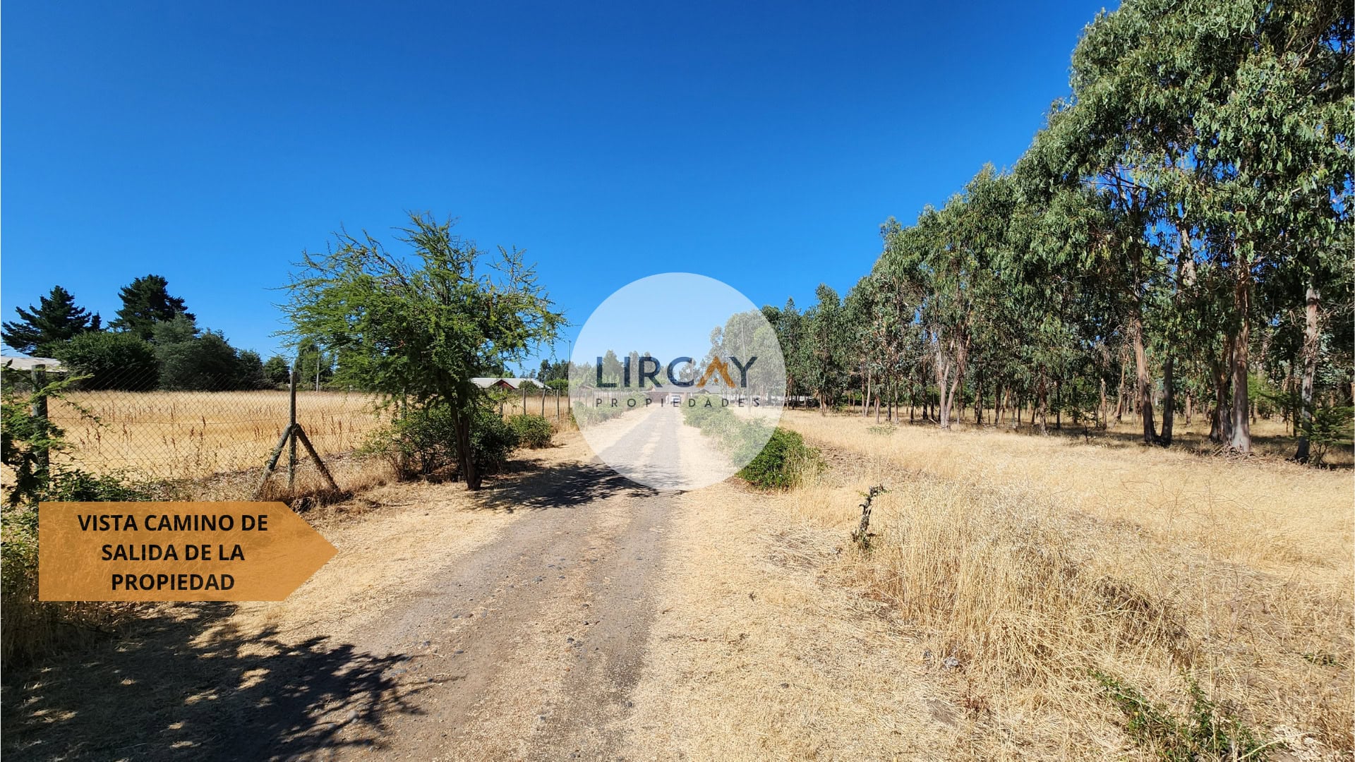 5 Terreno en Venta 7 ha. Talca.