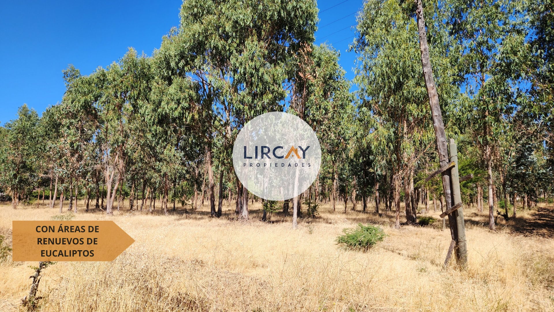 6 Terreno en Venta 7 ha. Talca.