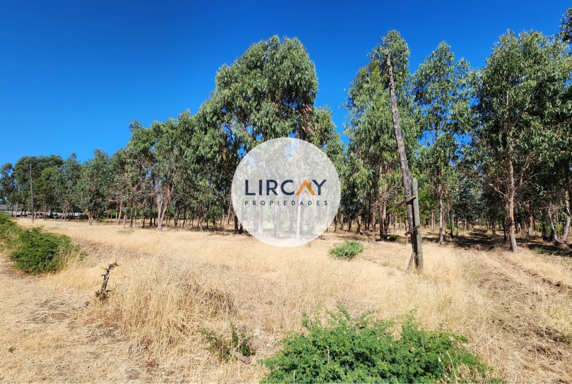 Terreno en Venta 7 ha. Talca.