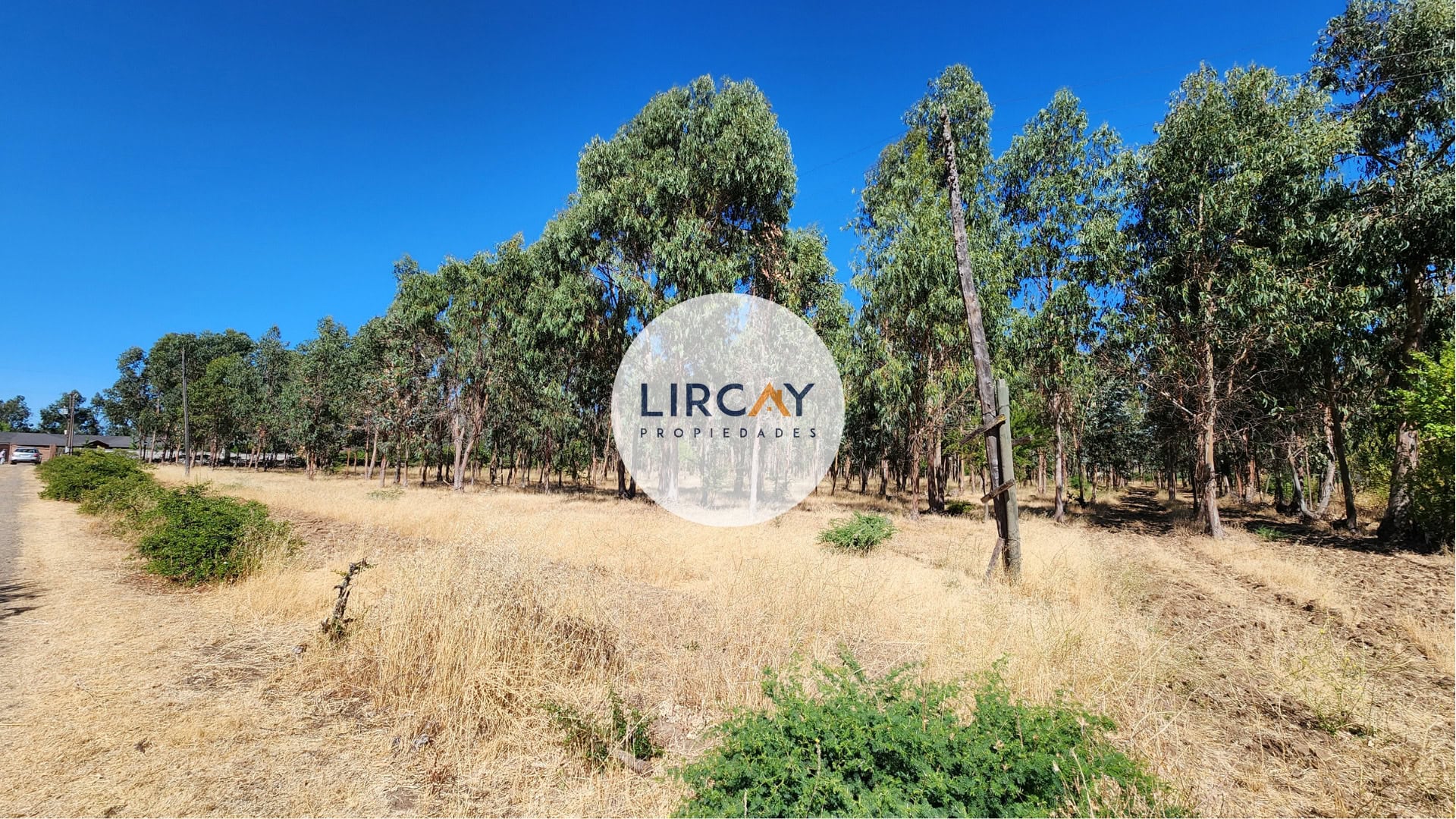 7 Terreno en Venta 7 ha. Talca.