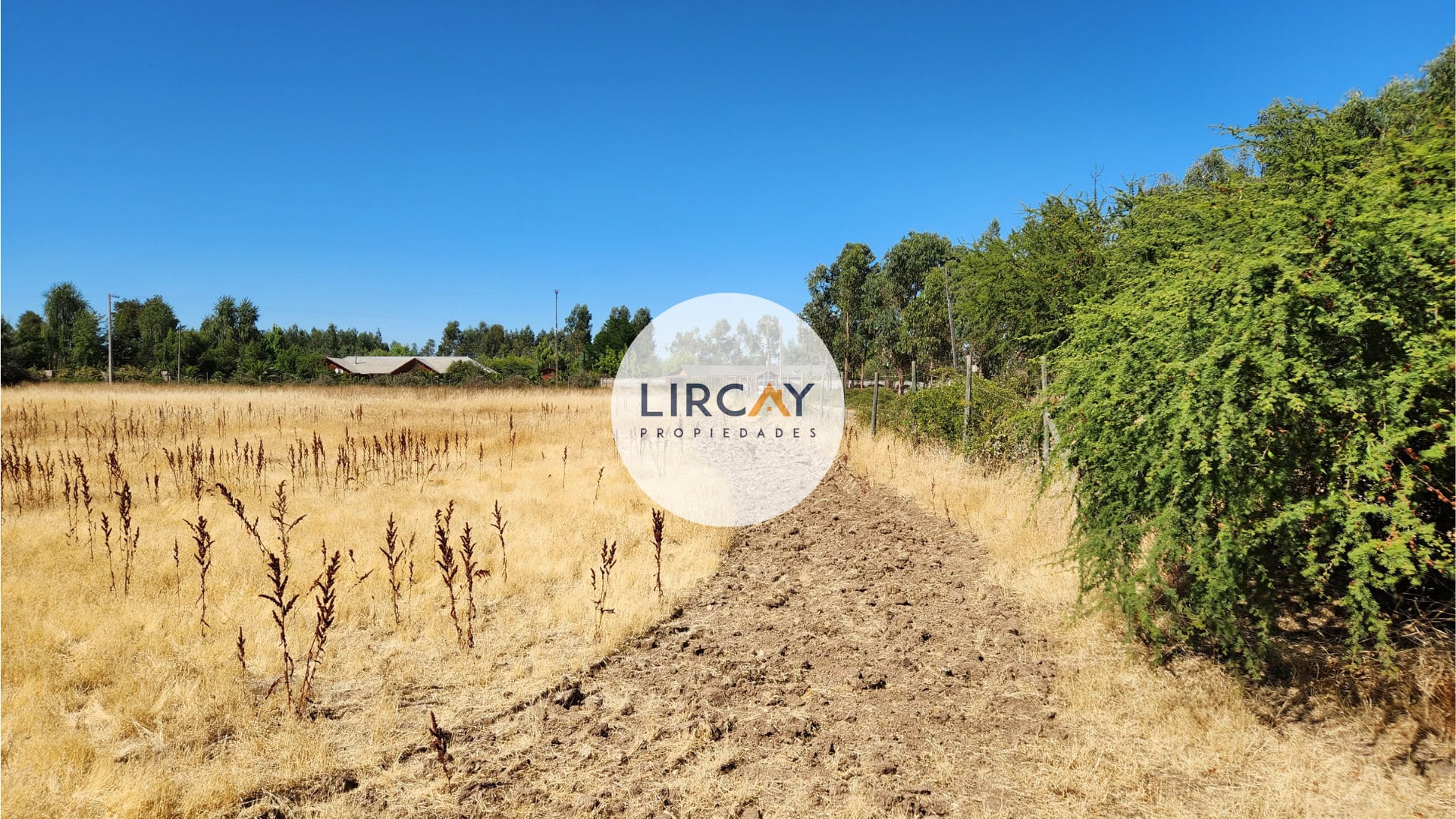 8 Terreno en Venta 7 ha. Talca.