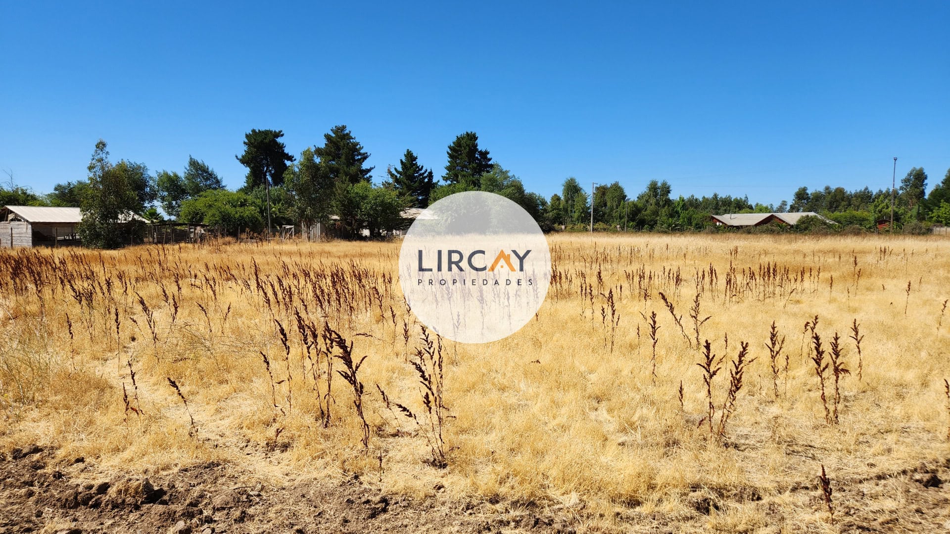 9 Terreno en Venta 7 ha. Talca.