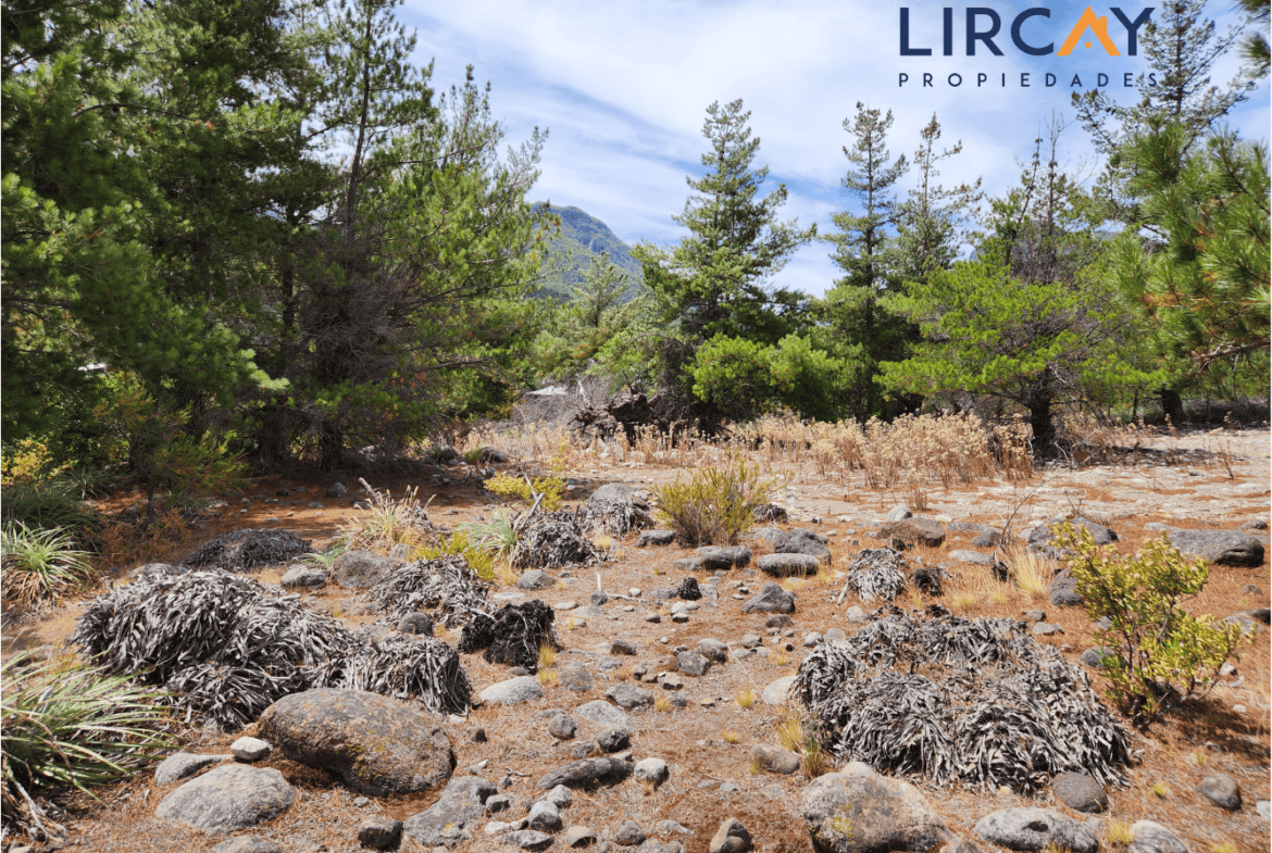 Parcela en Venta Precordillera Comuna San Clemente