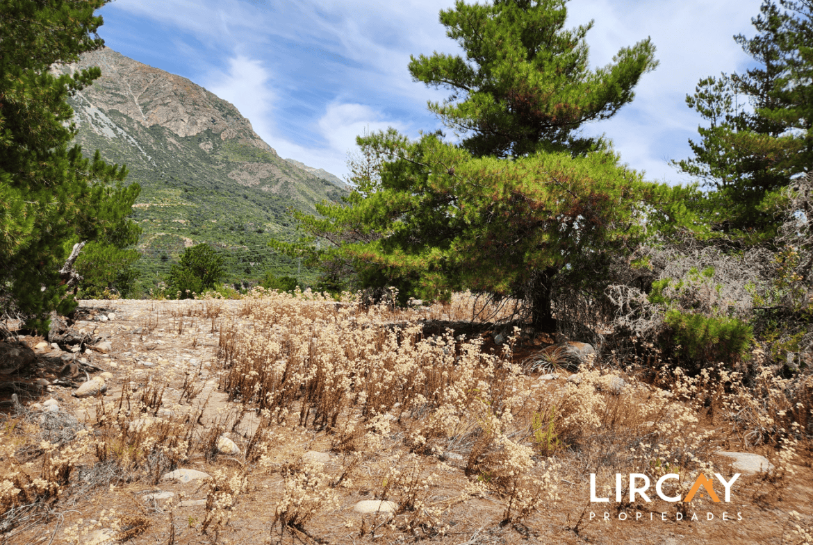 Parcela en Venta Precordillera Comuna San Clemente