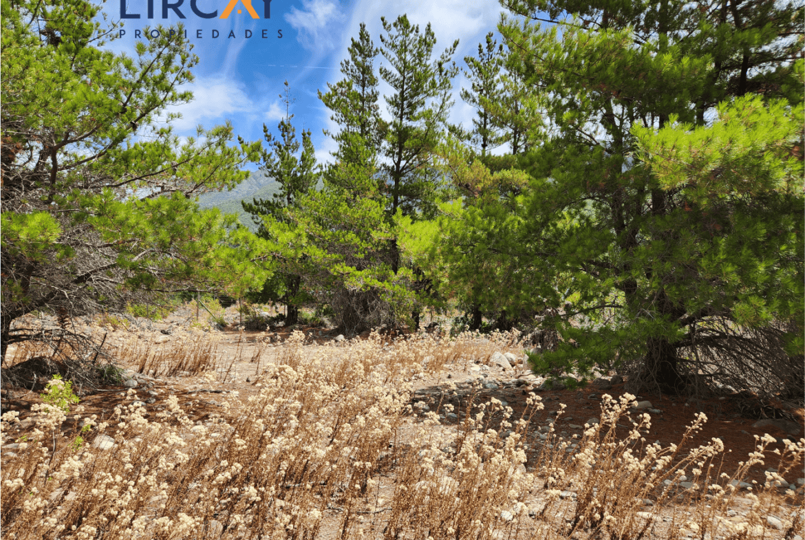 Parcela en Venta Precordillera Comuna San Clemente