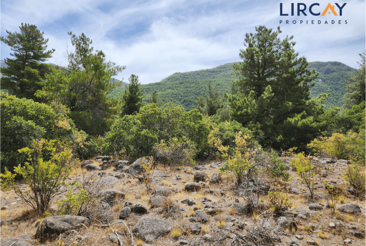 Parcela en Venta Precordillera Comuna San Clemente