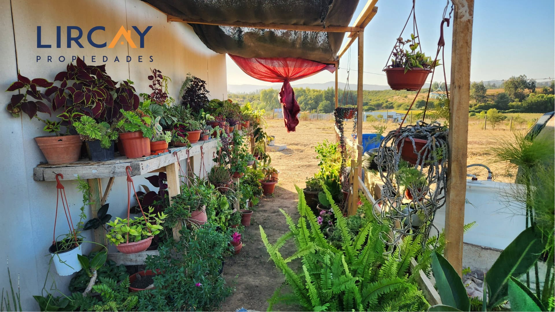 23 En Venta Parcela con Casa en San Rafael.