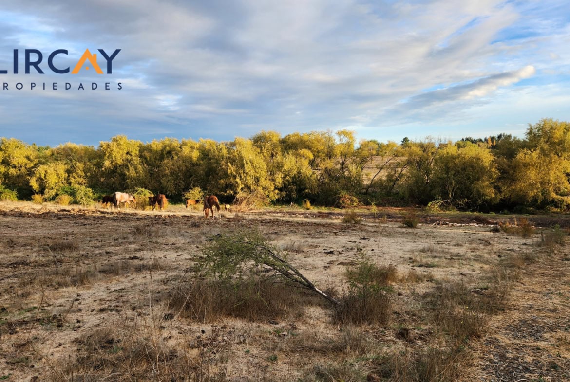 14 Lotes en Venta comuna San Rafael