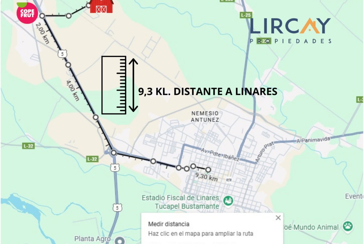 Lotes 5.000 mts en Venta Linares