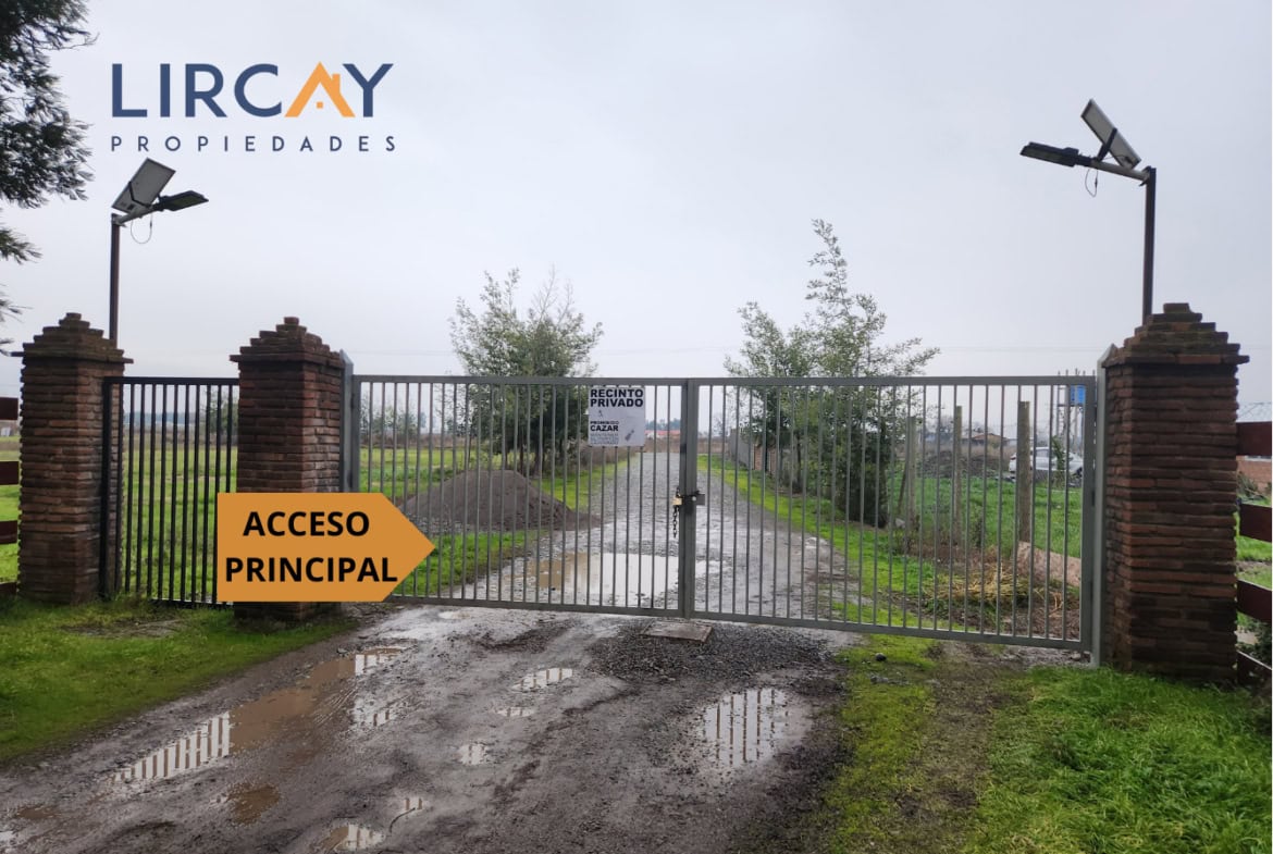 Lotes 5.000 mts en Venta Linares