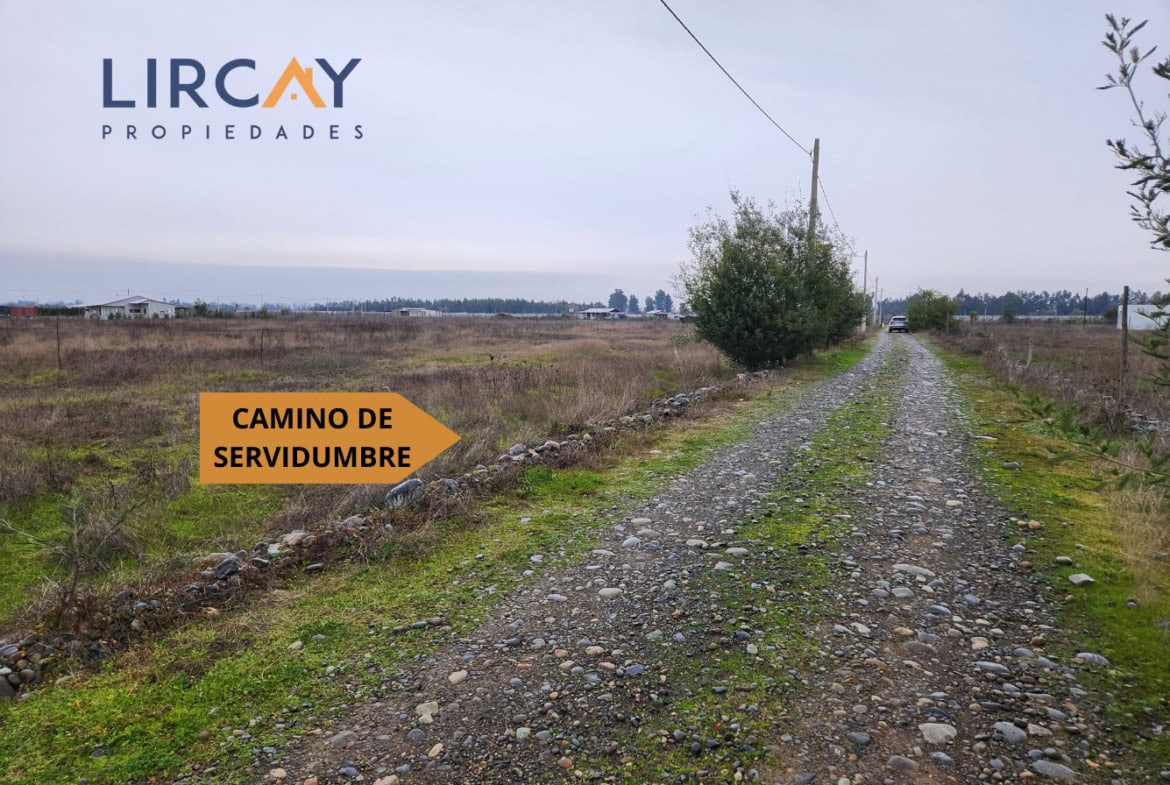 Lotes 5.000 mts en Venta Linares