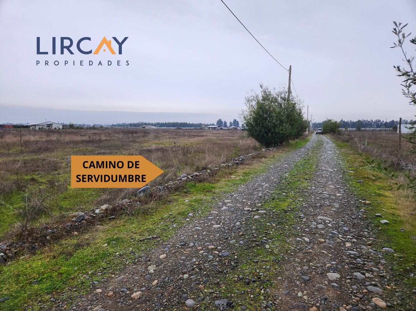 12 Lotes 5.000 mts en Venta Linares