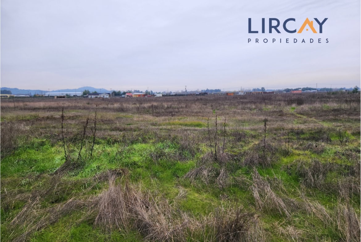 Lotes 5.000 mts en Venta Linares