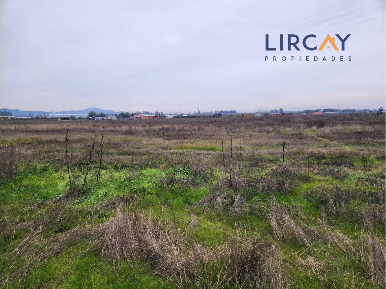 14 Lotes 5.000 mts en Venta Linares