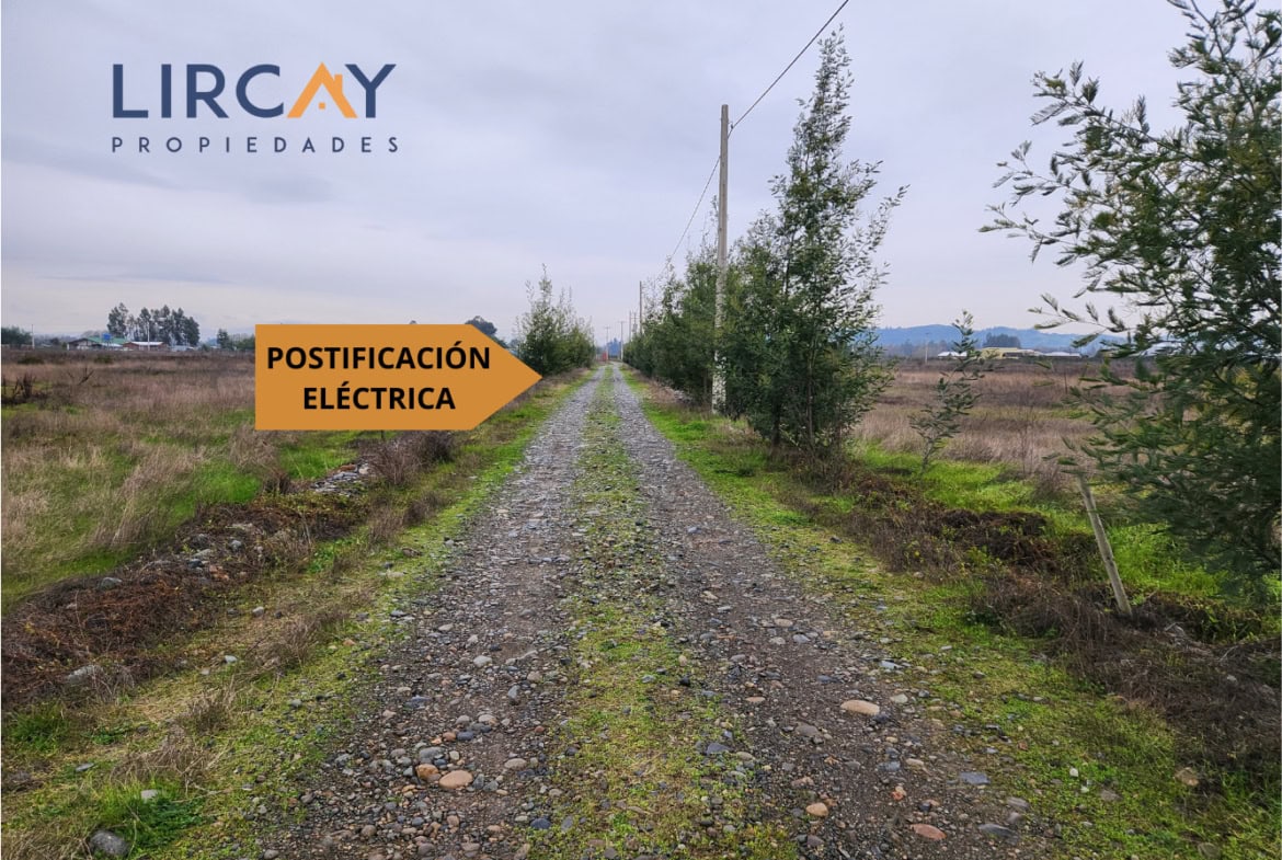 Lotes 5.000 mts en Venta Linares