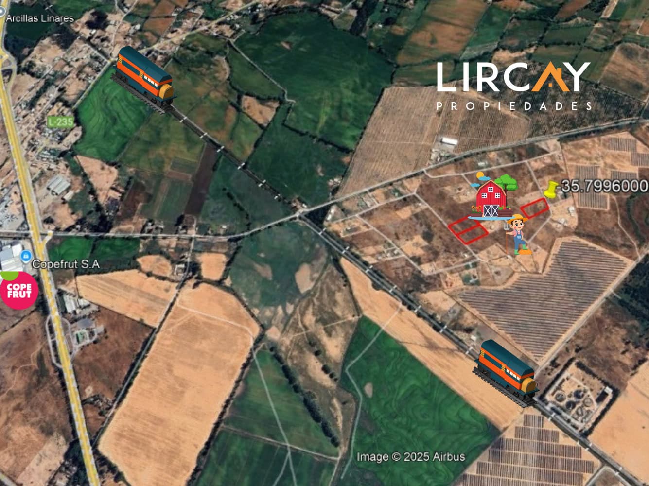 4 Lotes 5.000 mts en Venta Linares