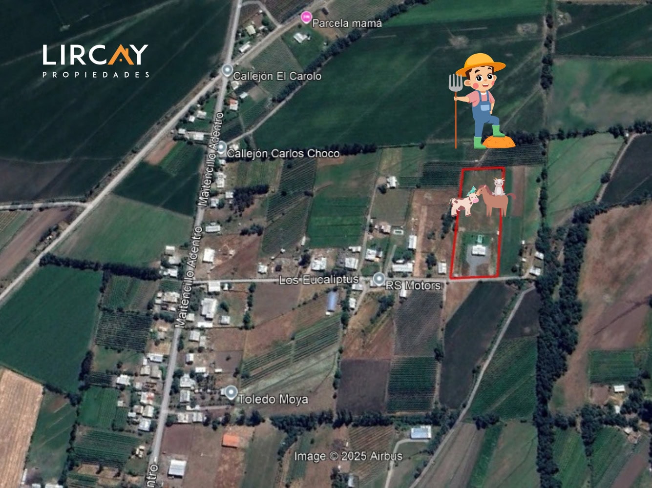 11 Espectacular Parcela con Casa regularizada en Venta.