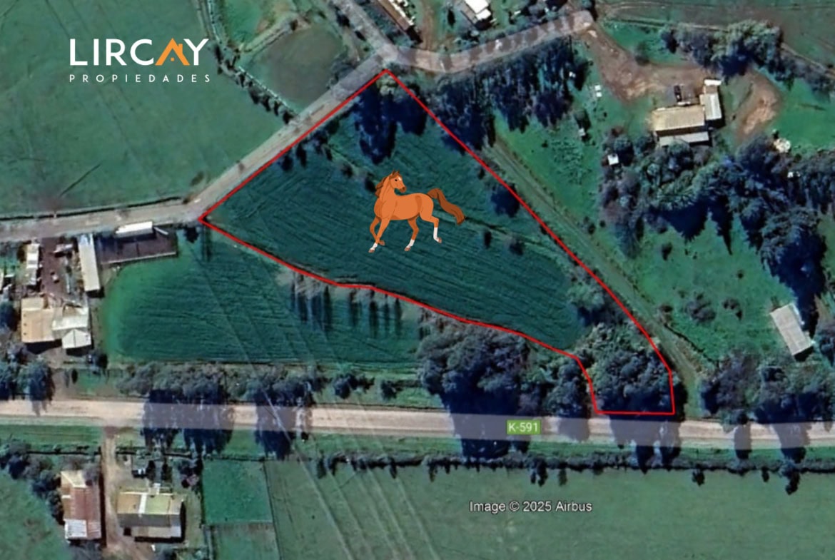 Lote en Venta 6.500 mts2 sector Lomillas, San Clemente, Región del Maule.