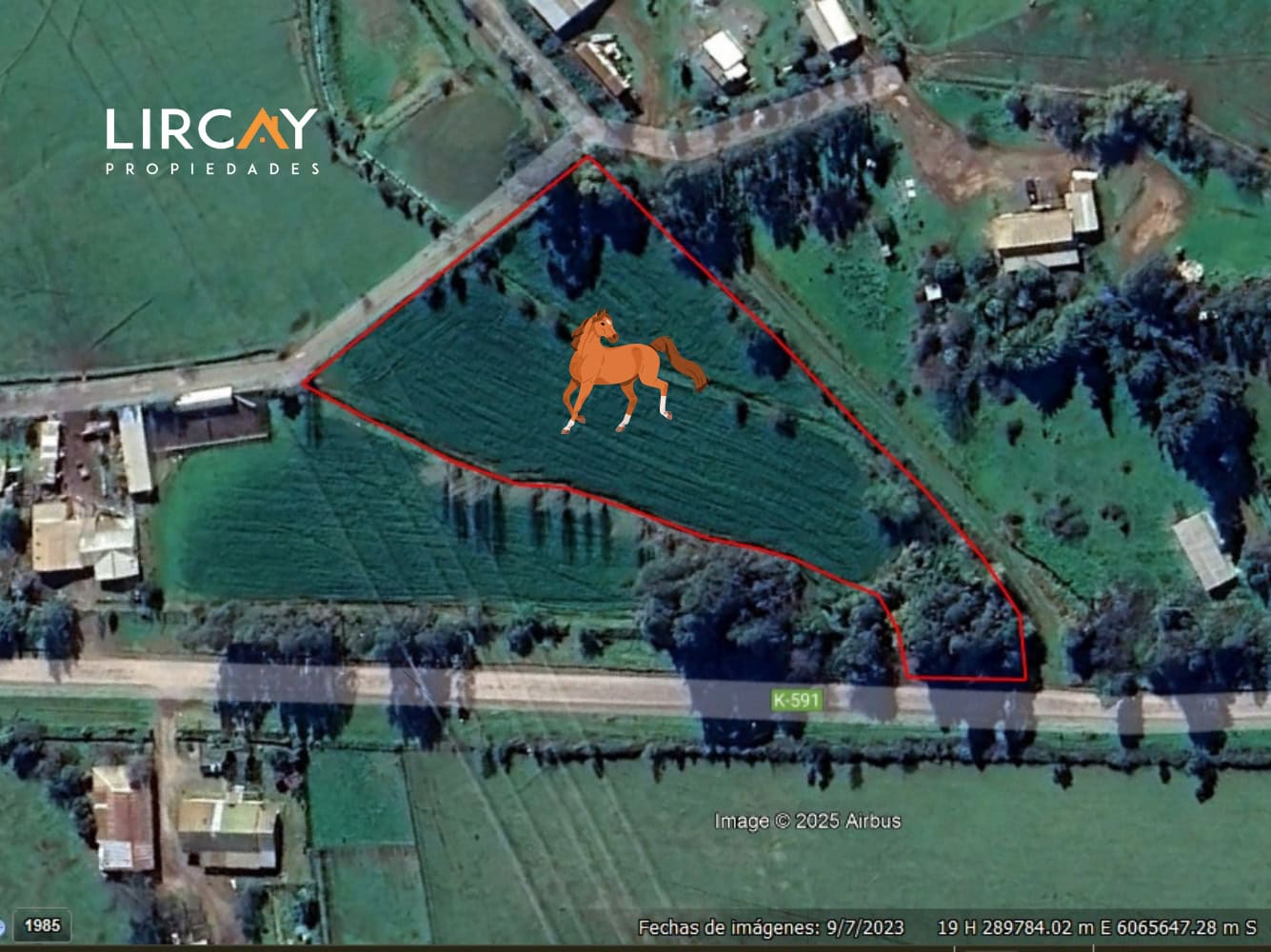 1 Lote en Venta 6.500 mts2 sector Lomillas, San Clemente, Región del Maule.