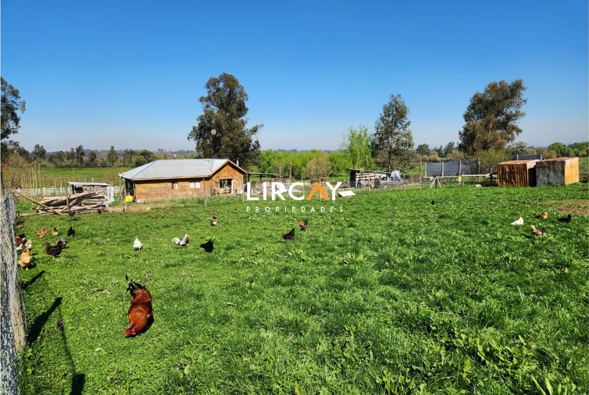 Parcela en Venta sector Los Gomeros, Pelarco.