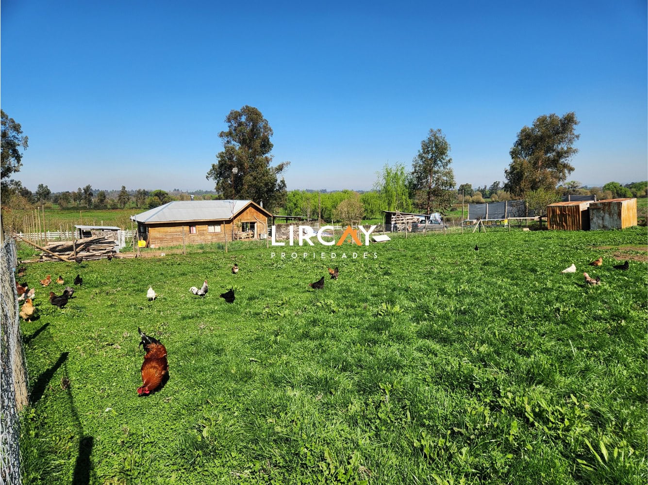 Parcela en Venta sector Los Gomeros, Pelarco.