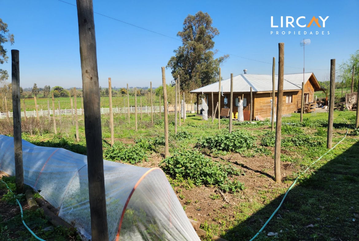 Parcela en Venta sector Los Gomeros, Pelarco.
