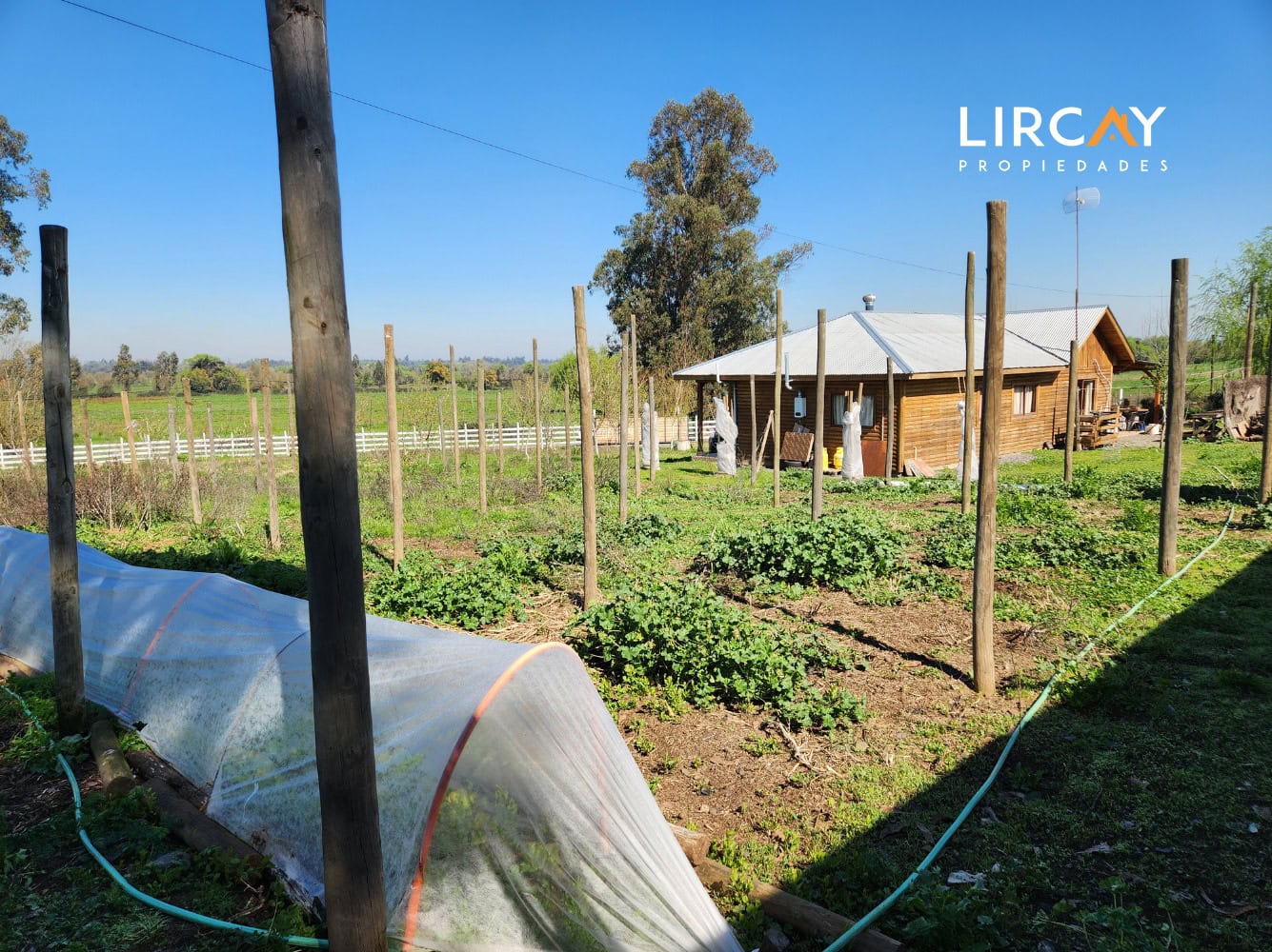Parcela en Venta sector Los Gomeros, Pelarco.