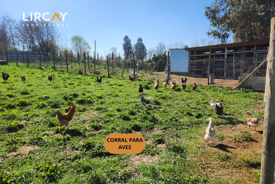 Parcela en Venta sector Los Gomeros, Pelarco.