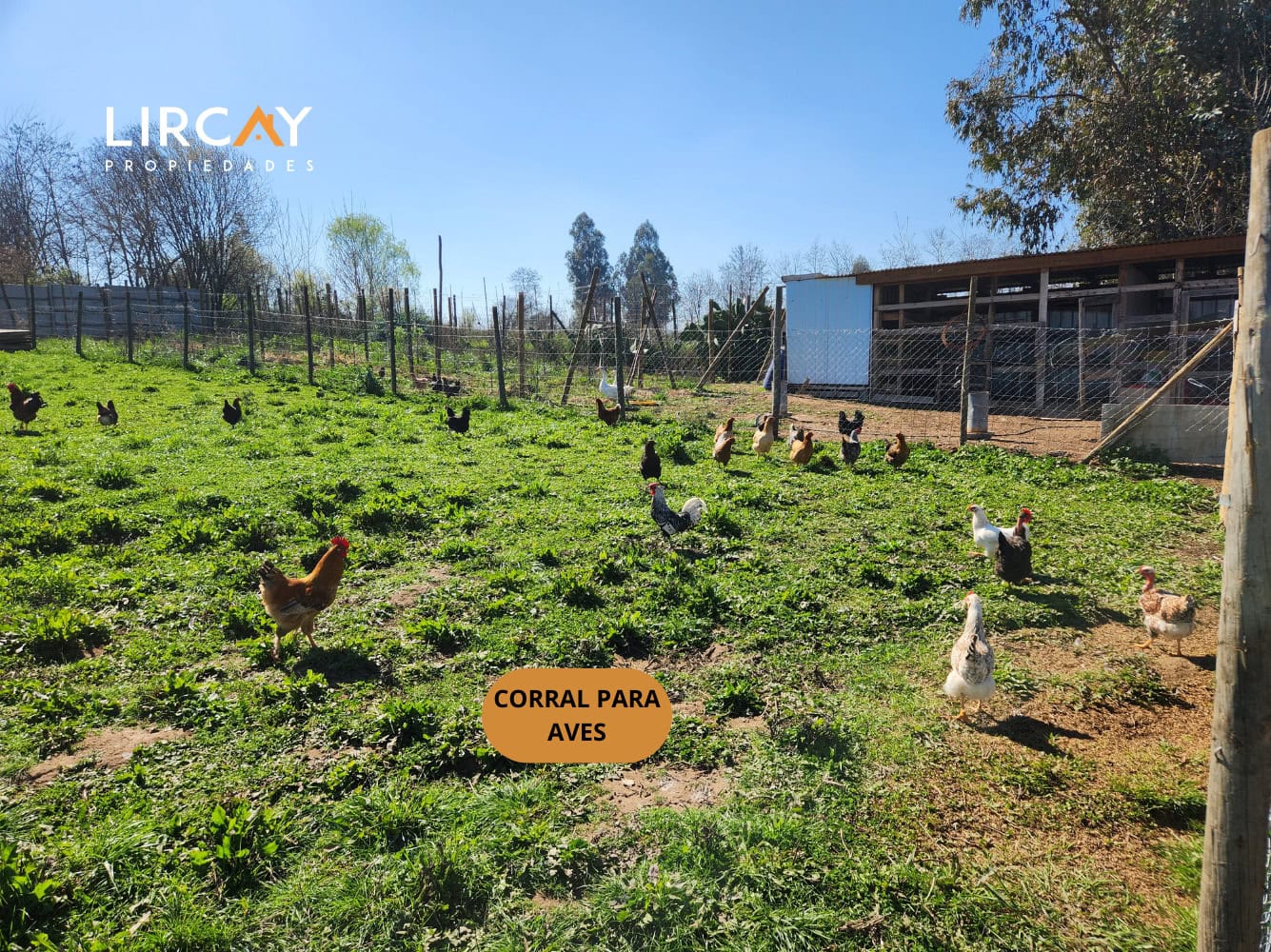 Parcela en Venta sector Los Gomeros, Pelarco.