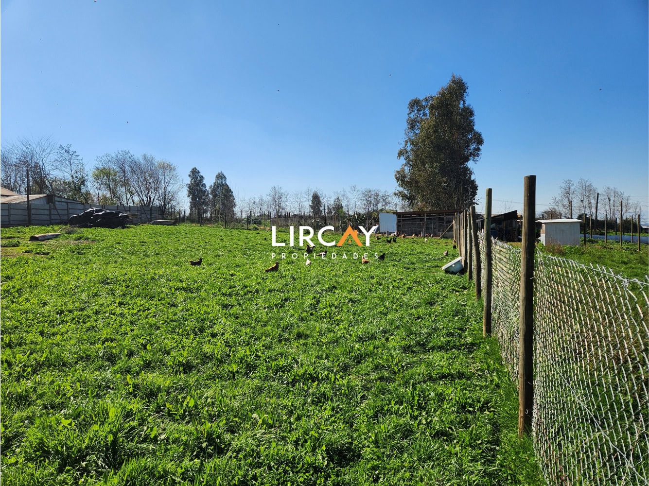Parcela en Venta sector Los Gomeros, Pelarco.