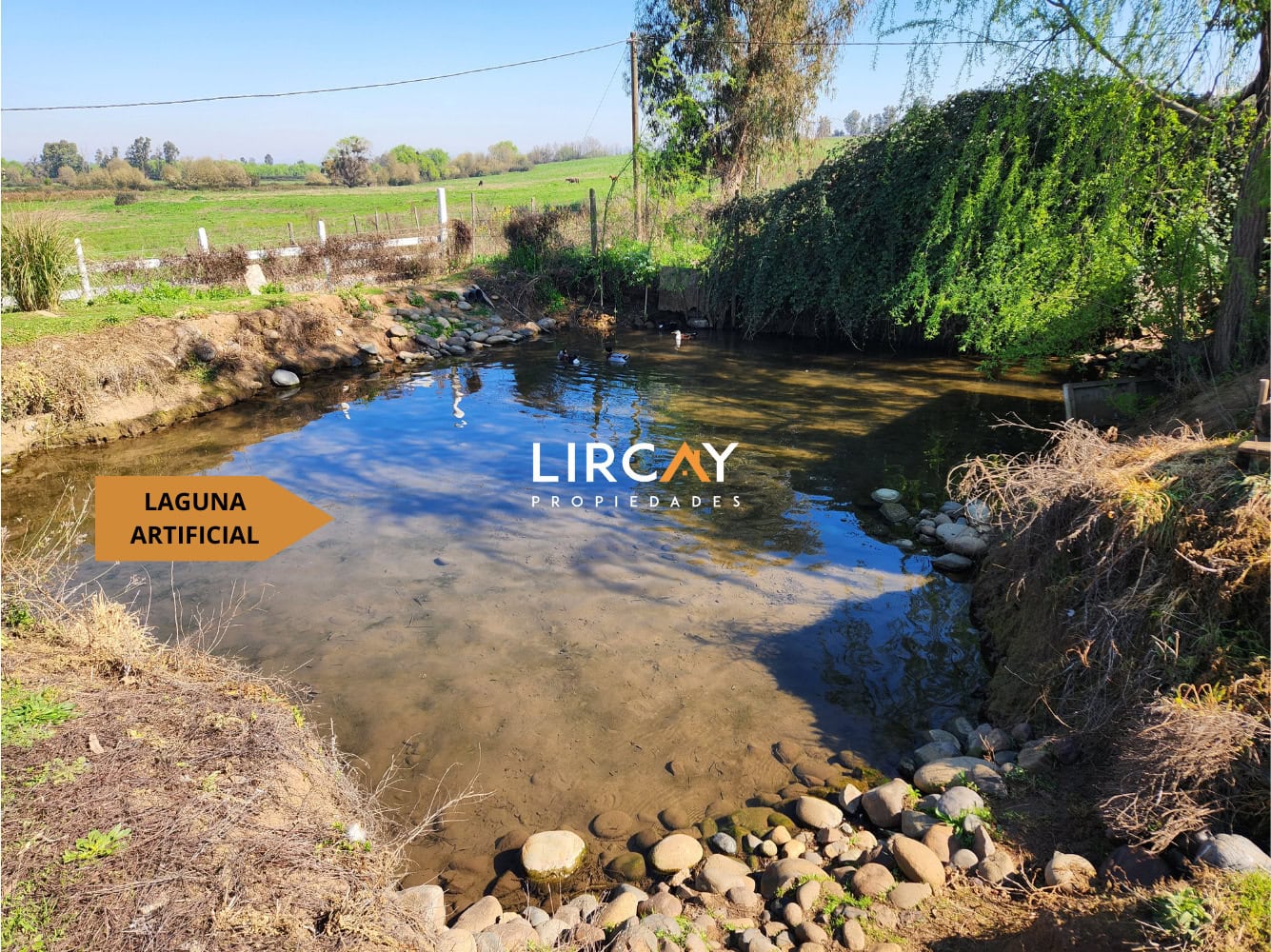 Parcela en Venta sector Los Gomeros, Pelarco.