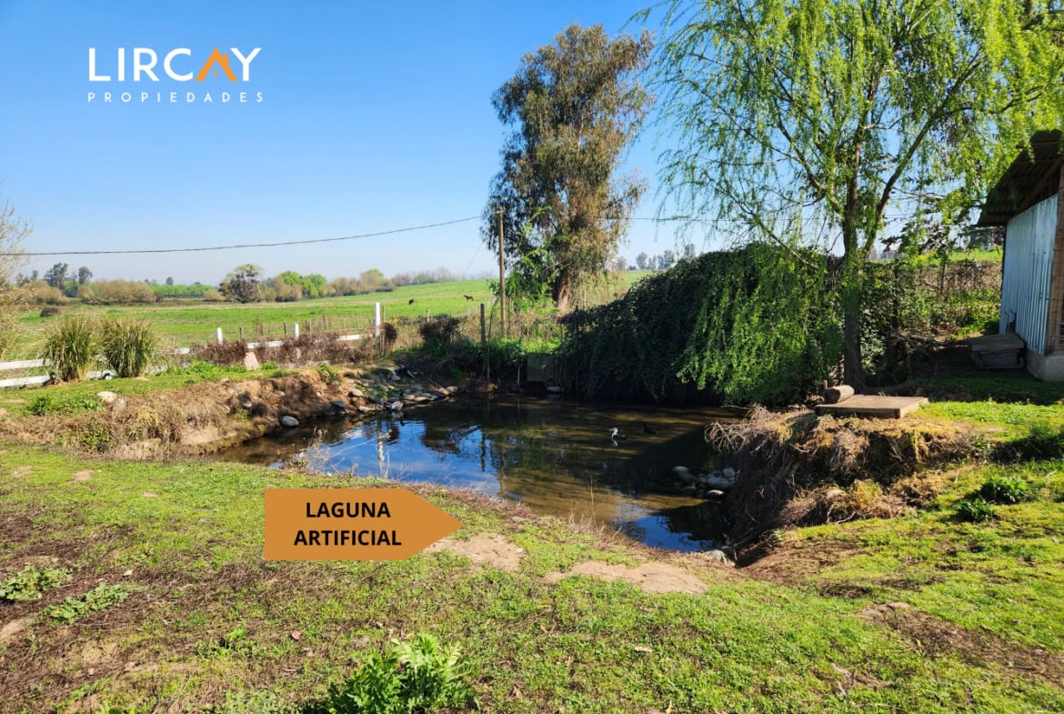 Parcela en Venta sector Los Gomeros, Pelarco.
