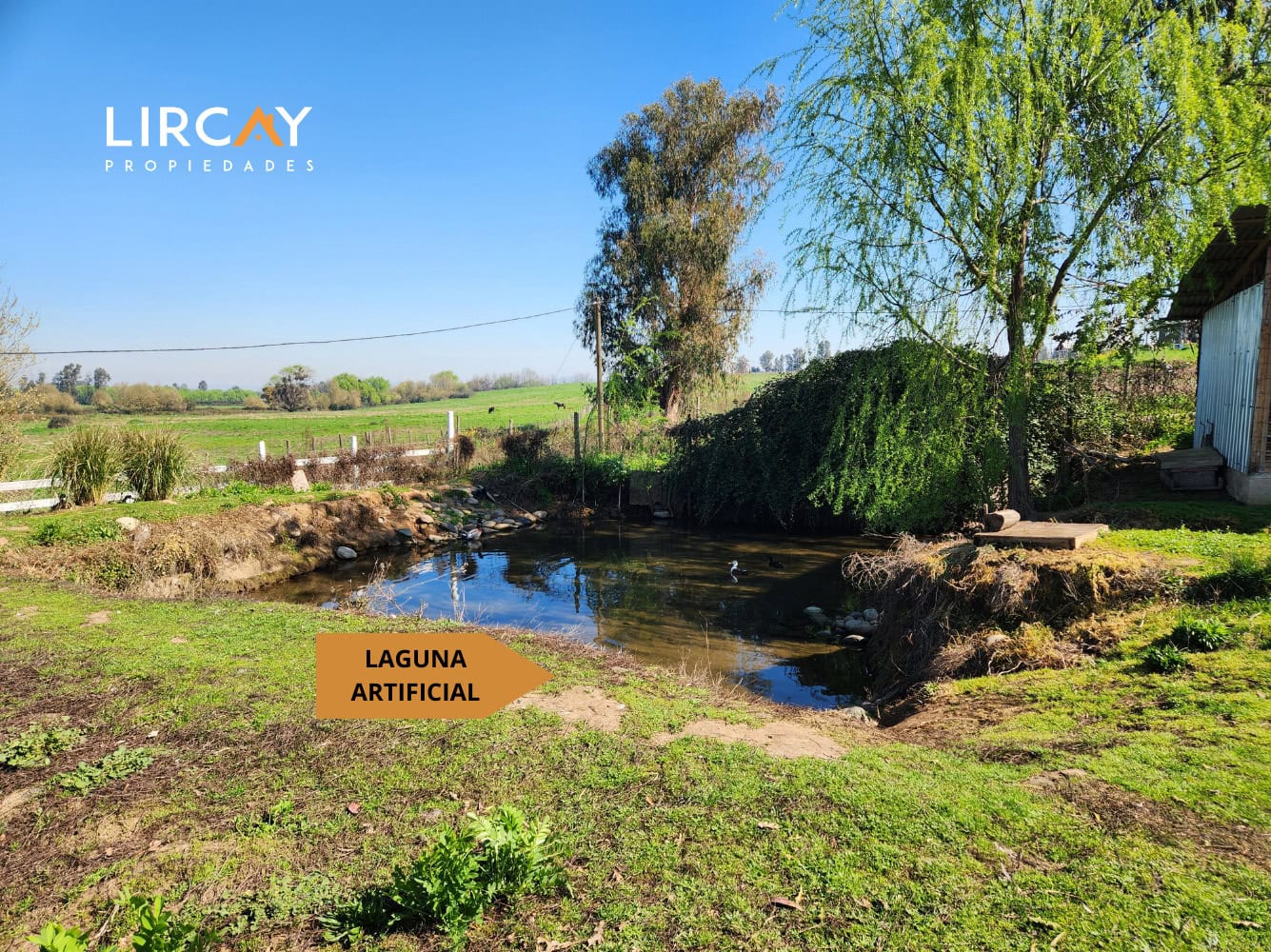 Parcela en Venta sector Los Gomeros, Pelarco.