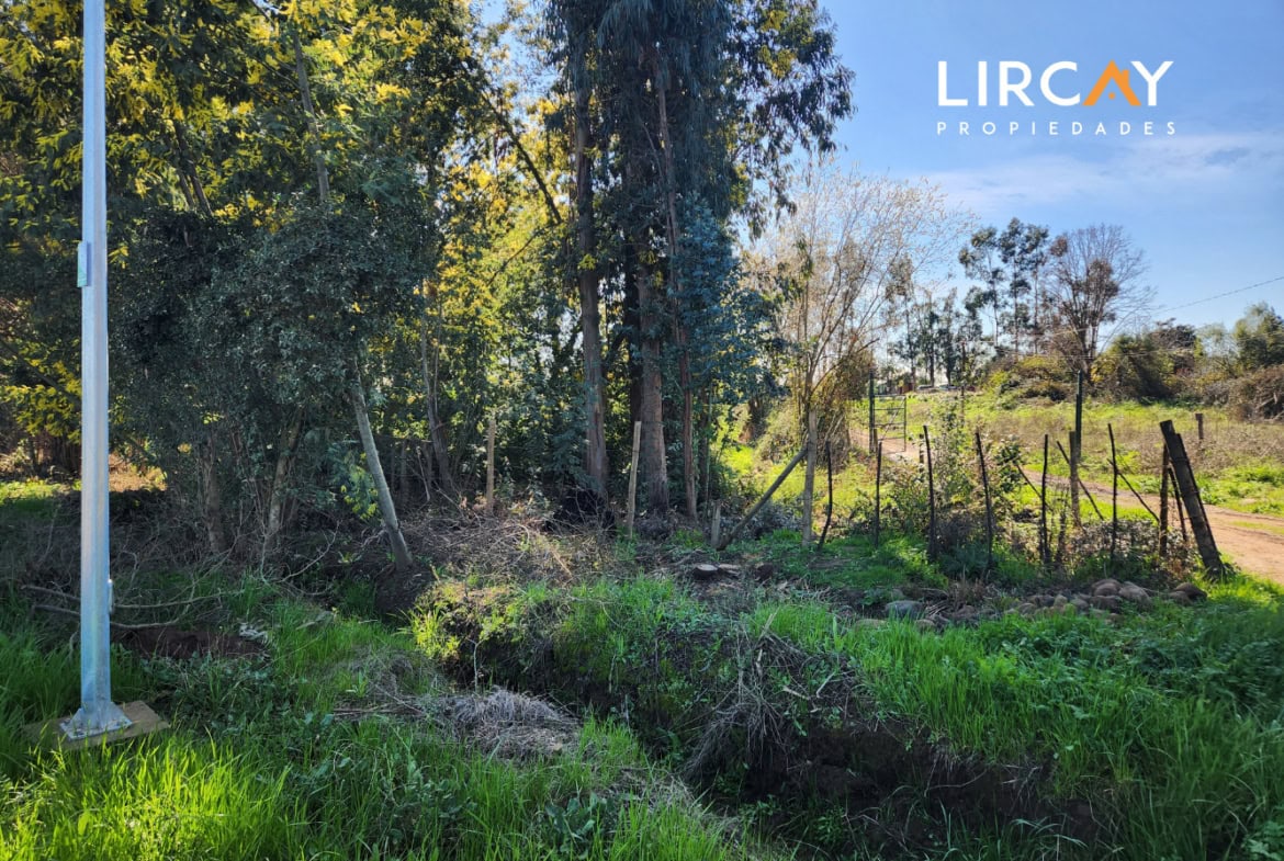 Lote en Venta 6.500 mts2 sector Lomillas, San Clemente, Región del Maule.