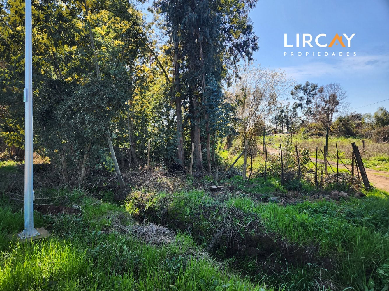 5 Lote en Venta 6.500 mts2 sector Lomillas, San Clemente, Región del Maule.