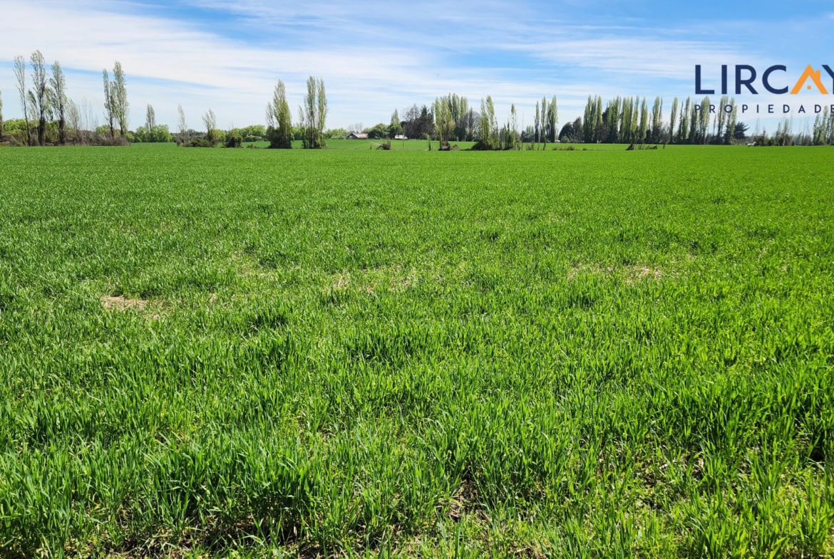 Gran Terreno en Venta comunas Parral-Retiro