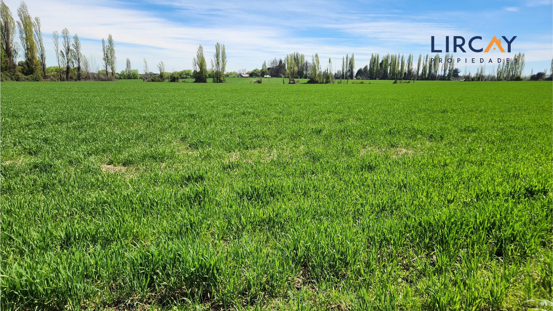 1 Gran Terreno en Venta comunas Parral-Retiro