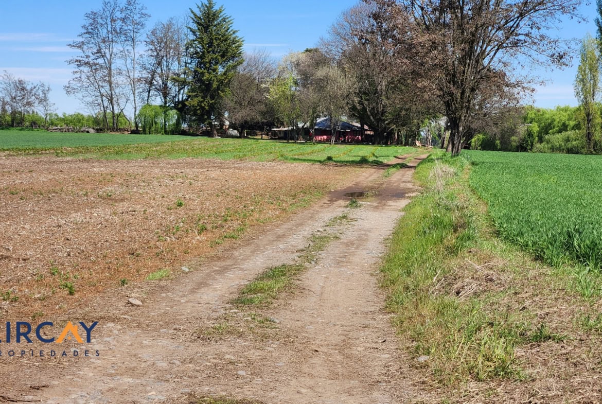 Gran Terreno en Venta comunas Parral-Retiro
