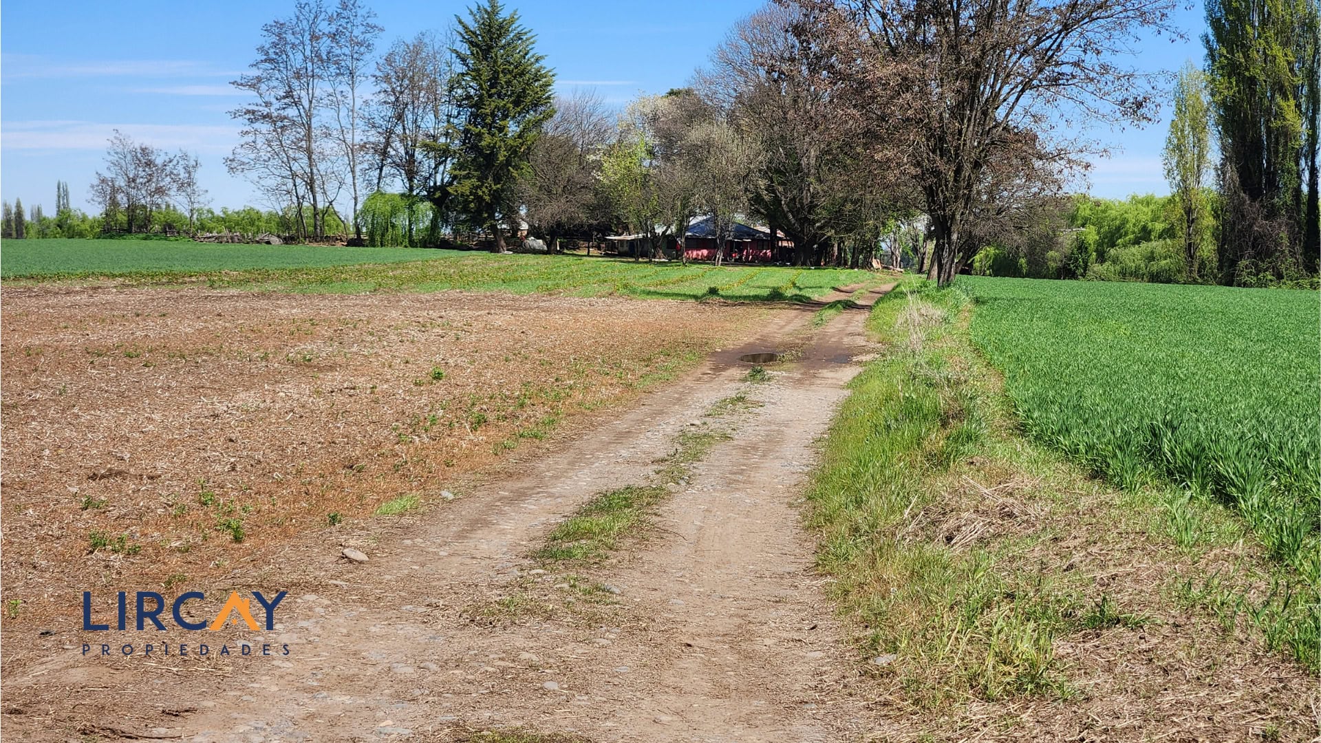 11 Gran Terreno en Venta comunas Parral-Retiro