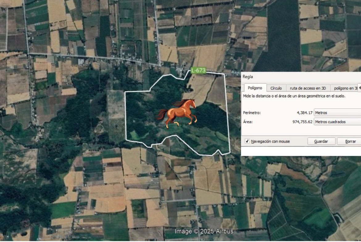 Gran Terreno en Venta comunas Parral-Retiro